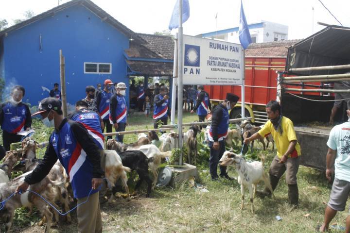 Penyembelihan hewan kurban oleh PAN di Kabupaten Nganjuk sekaligus merupakan wujud kepedulian kepada masyarakat. (Foto: Rino Hayyu/Tugu Jatim)