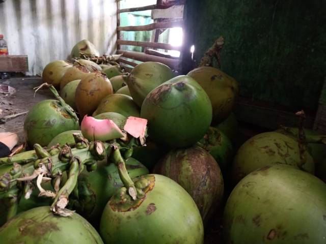 Kelapa hijau milik Faisol, di Pasar Kota Bojonegoro. (Foto: Mila Arinda/Tugu Jatim)