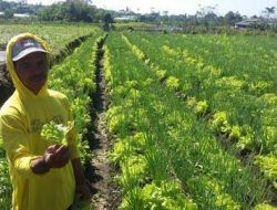 DPRD Usulkan Sopir Angkot hingga Petani di Kota Batu Ter-Cover BPJS Ketenagakerjaan