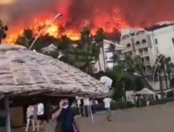 Lima Hari Hutan Di Turki Dilalap Api, Tewaskan 8 Orang dan Ribuan Lainnya Dievakuasi