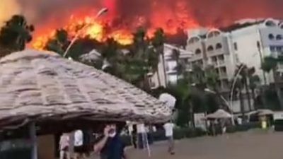 Kebakaran hutan di Turki tewaskan delapan orang/ tugu jatim