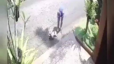 Video penembakan pada seekor anjing yang diduga dilakukan pelaku di Perumahan Bukit Dieng, Kota Malang. (Foto: Facebook/Tugu Jatim)