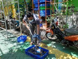 Unik, Kampung di Surabaya Ini Sulap Selokan jadi Tempat Budi Daya Lele