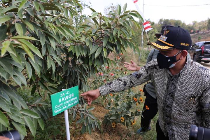 Wakil Bupati Tuban H. Riyadi melihat hasil buah di objek wisata agropark di Kecamatan Montong, Kamis (02/09/2021). (Foto: Diskominfo Tuban/Tugu Jatim)