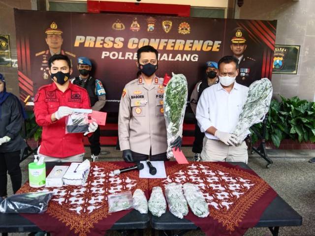 Kapolres Malang AKBP Raden Bagoes Wibisono memperlihatkan barang bukti ganja saat pers rilis di Mapolres Malang, Jumat (03/09/2021). (Foto: Rizal Adhi Pratama/Tugu Malang/Tugu Jatim)