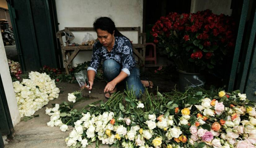 Yuniati, salah satu petani bunga hias di Desa Gunungsari, Kota Batu, tampak sibuk mengemas bunga mawar sebelum dikirim kepada pelanggan. (Foto: M. Ulul Azmy/Tugu Malang/Tugu Jatim)