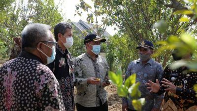 Wakil Bupati Tuban H. Riyadi meninjau dua calon objek wisata agropark di Kecamatan Montong sambil mencicipi buah pada Kamis (02/09/2021). (Foto: Diskominfo Tuban/Tugu Jatim)