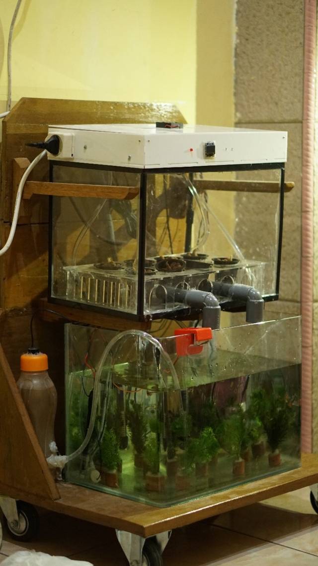MYARM, alat buatan mahasiswa UM yang bisa untuk budi daya tanaman saffron dan ikan hias yang telah terintegrasi. (Foto: Dokumen) tugu jatim