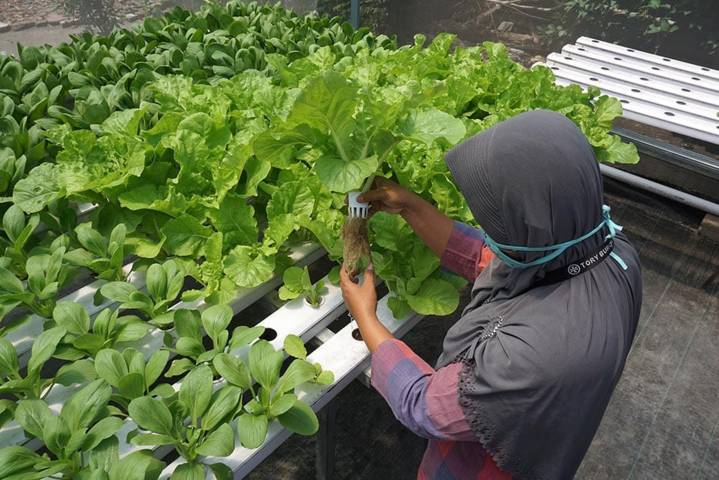 Urban farming melalui green house yang diwujudkan oleh Pemkot Kediri. (Foto: Dokumen/Pemkot Kediri) tugu jatim