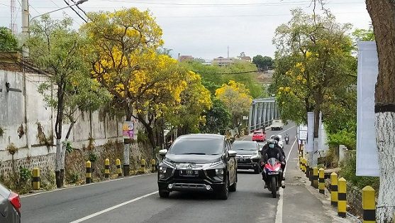 Sederet pohon tabebuya di Jalan Raya Pendem Kota Batu tengah mekar, melengkapi lanskap pesona Kota Batu berlatar belakang Gunung Panderman/tugu jatim