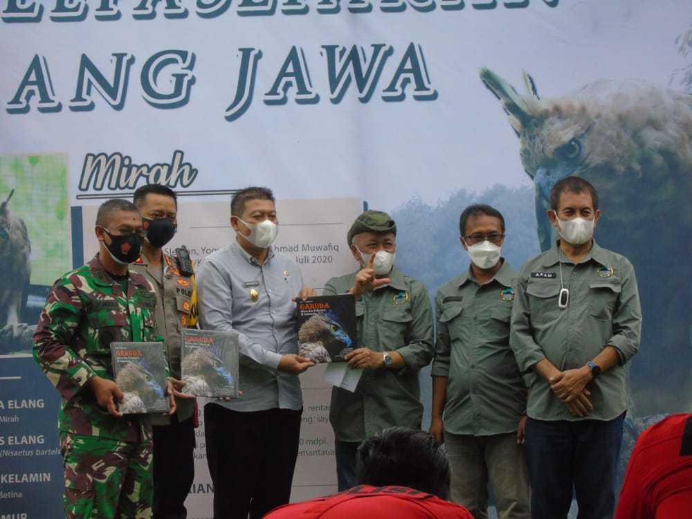 Wakil Bupati Malang Didik Gatot Subroto turut hadir dalam pelepasliaran Mirah di  TNBTS Wilayah Malang pada Jumat (29/10/2021). (Foto: TNBTS/Tugu Jatim)