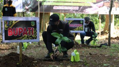 Bupati Tuban Aditya Halindra Faridzy saat menanam pohon di di area Makam Mbah Singonegoro Hutan Lindung Petak 104 Desa Jetak Montong, Sabtu (23/10/2021). (Foto: Diskominfo Tuban) tugu jatim