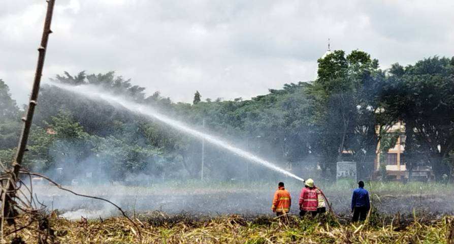 Proses pemadaman kebakaran lahan tebu di Kecamatan Gondanglegi (Foto: Dokumen/Damkar Kabupaten Malang) tugu jatim