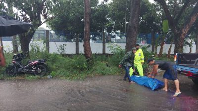 Korban kecelakaan motor di Kabupaten Nganjuk sedang dievakuasi pada Jumat (19/11/2021). (Foto: Dokumen/Tugu Jatim)