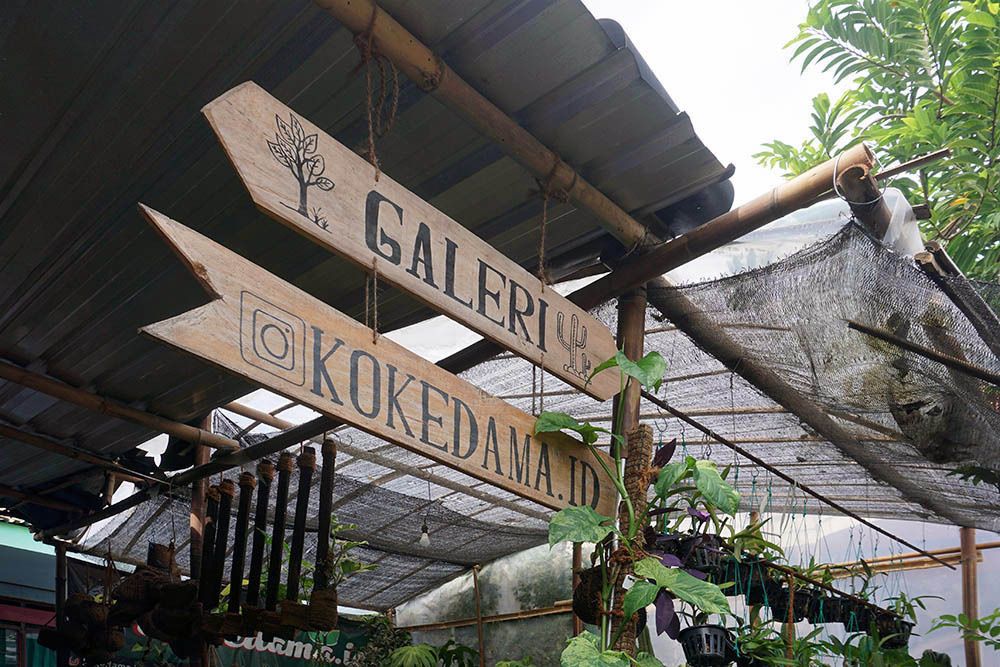 Galeri Kokedama.id milik Gigih Mahayudin, pengusaha tanaman hias asal Kota Kediri. (Foto: Dokumen/Tugu Jatim)