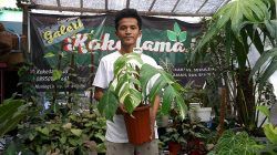 Gigih Mahayudin, pengusaha tanaman hias asal Kota Kediri saat berada di Galeri Kokedama.id, Jumat (05/11/2021). (Foto: Dokumen/Tugu Jatim)