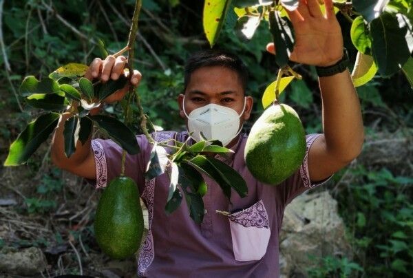 Yanto, petani alpukat Wina di Desa Kedewan, Kecamatan Temayang, Kabupaten Bojonegoro. (Foto: Istimewa)