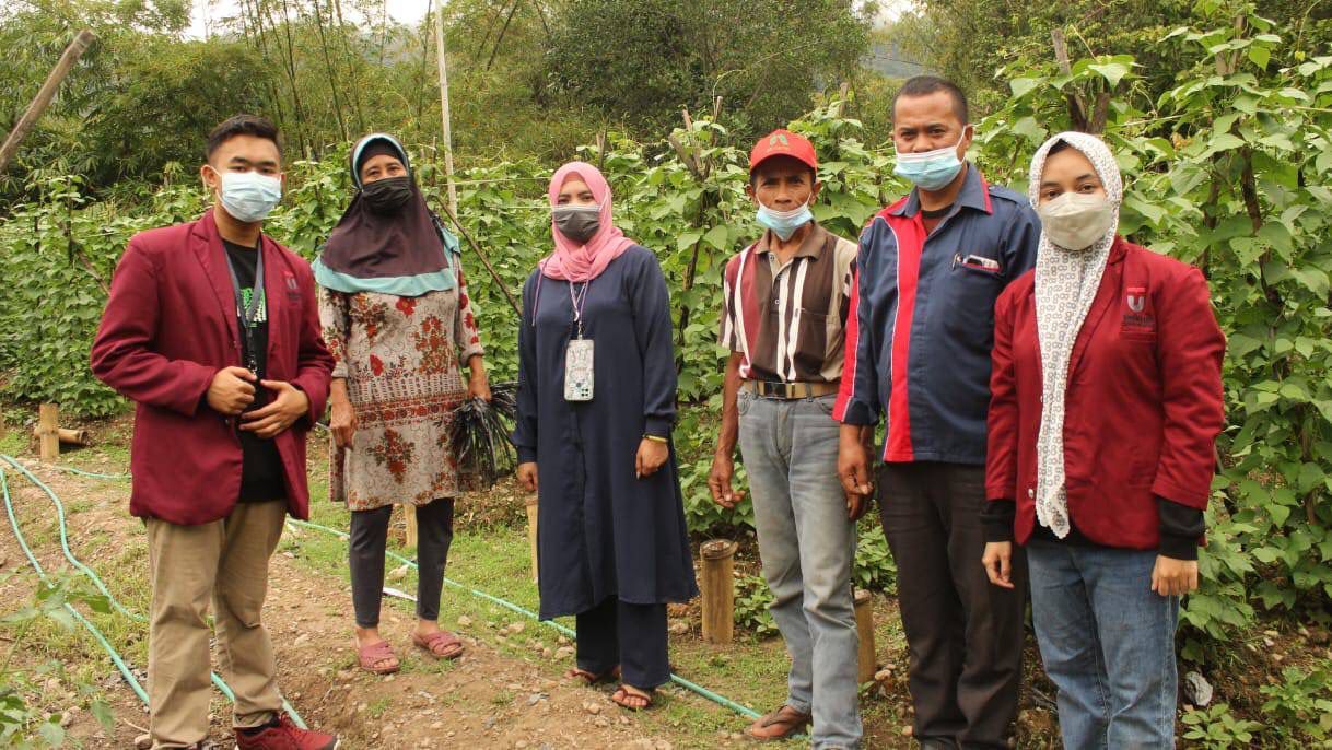 Petani di Desa Majannang, Sulawesi Selatan, semakin go digital setelah memakai aplikasi pertanian. (Foto: Dokumen/Tugu Jatim)