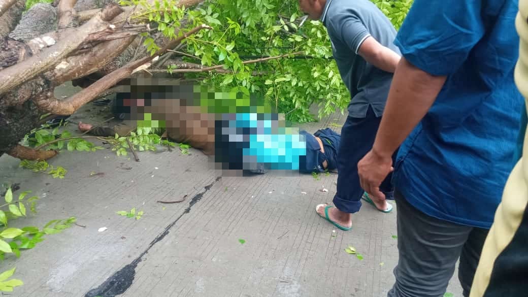 Pohon tumbang di jalan poros Kecamatan Pohwates-Kedungadem, Kabupaten Bojonegoro, Kamis (11/11/2021) sebabkan korban jiwa/tugu jatim
