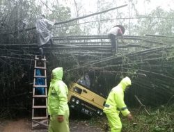 Setahun Terakhir, Bencana Tanah Longsor di Kabupaten Malang Meningkat 67 Persen