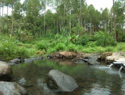 Sumber Guno, Mata Air di Kabupaten Malang dengan 1.001 Khasiat