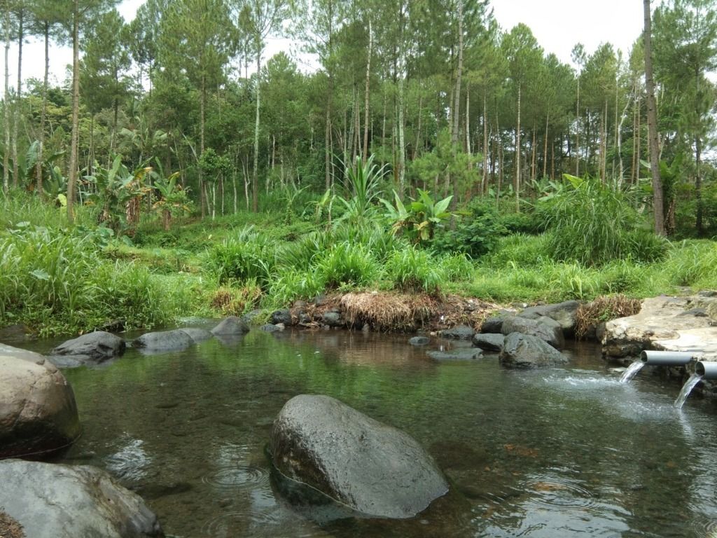 Sumber Guno di Desa Pamotan, Kecamatan Dampit. Kabupaten Malang. (Foto: Muhammad Fathoni/Tugu Malang/Tugu Jatim)