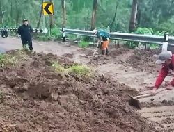 Satu Minggu, 3 Kali Longsor Terjadi di Tosari Kabupaten Pasuruan