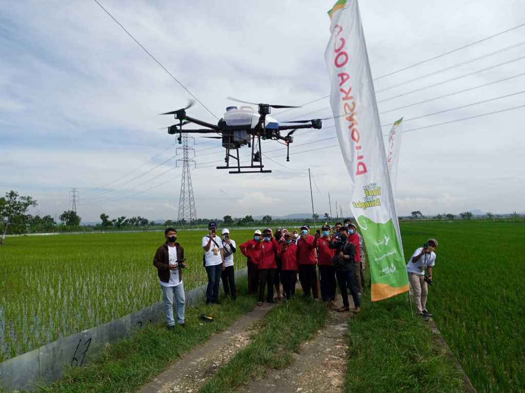 PT Pupuk Indonesia menggandeng Todaytech untuk menyemprotkan pupuk cair di lahan persawahan para petani di Kabupaten Tuban, Rabu (17/11/2021). (Foto: Mochamad Abdurrochim/Tugu Jatim)