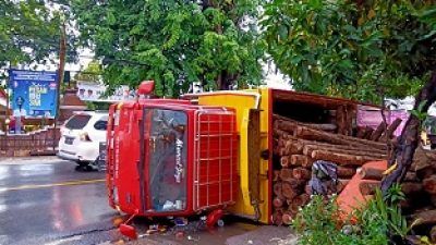 Truk Pengangkut Kayu Jati Terguling di Baureno Bojonegoro Sebabkan Kemacetan Panjang