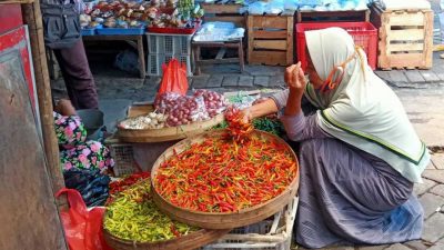 Harga cabai rawit. (Foto: Mila Arinda/Tugu Jatim)