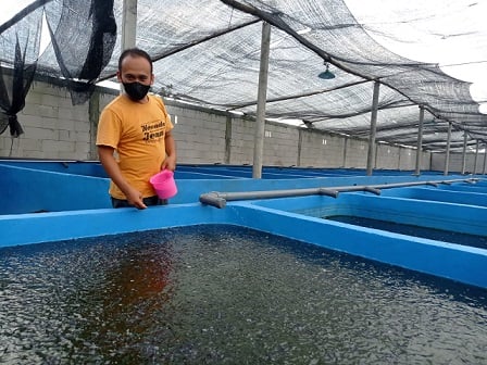 Hasan Qomarudin saat berada di lokasi pembibitan ikan lele