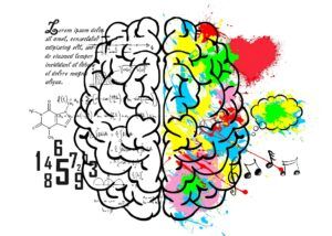 Apakah Gagasan Dominan Otak Kanan dan Kiri Benar?