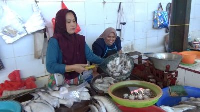 Harga Ikan di Tuban Melonjak Jelang Tahun Baru, Omzet Pedagang Ikut Naik 40 Persen