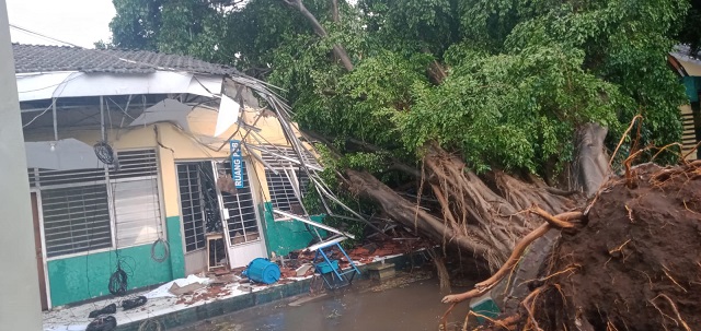 Pohon beringin tumbang merusak ruang kelas SMA 2 Kota Pasuruan.