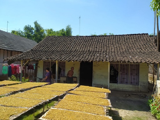 Rumah salah satu warga Dusun Bedo, Desa Sidorejo, Kedungadem sebelum mendapat program ALADIN Pemkab Bojonegoro.