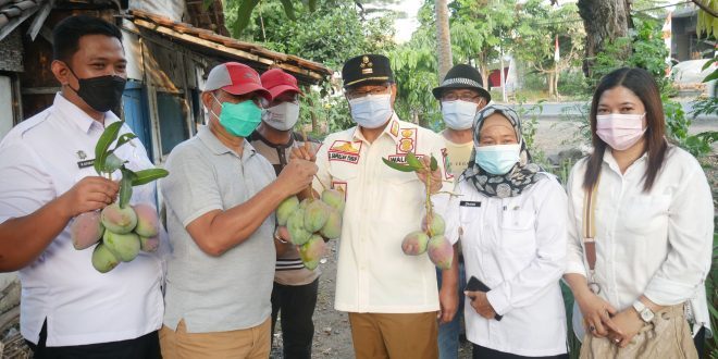 Kebun bibit. (Foto: Pemkot Pasuruan/Tugu Jatim)