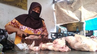 Rusmini pedagang ayam di pasar Gurah, Kabupaten Kediri, tetep melayani pembeli meski harga ayam melejit.