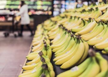 Buah pisang memiliki segudang manfaat bagi kesehatan tubuh. (Foto: Pixabay)