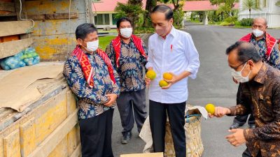 Jokowi. (Foto: Sekretariat Presiden/Tugu Jatim)