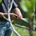 Berkebun di Rumah dengan Lahan Minimalis 10 Ilustrasi berkebun di rumah. (Foto: Unsplash)