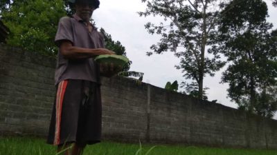 Pupuk subsidi. (Foto: Pipit Syahrodin/Tugu Jatim)