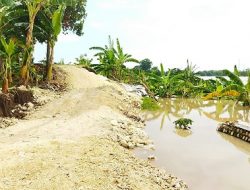 Air Bengawan Solo Meluap, Tanggul di Desa Kanor Bojonegoro Kembali Ambles