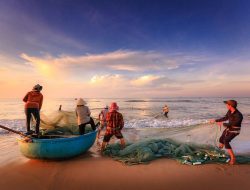Hari HAM Nelayan dan Masyarakat Sipil, Kenali Sistem dan Sertifikasi HAM Perikanan