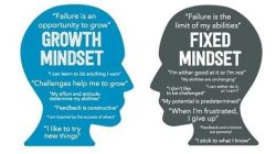 Perbedaan fixed mindset dan growth mindset.