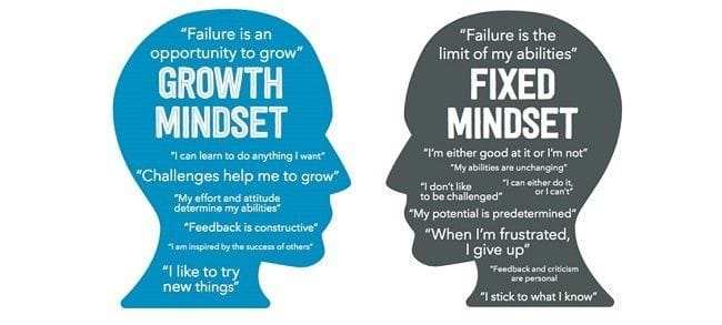 Perbedaan fixed mindset dan growth mindset.