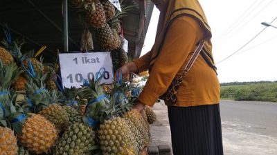 Rika, pedangan nanas di Kawasan Wisata Gunung Kelud sedang mengecek nanasnya, Minggu (2/1/2021)