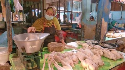 Mutomimah, pedagang ayam potong di Pasar Kota Bojonegoro.