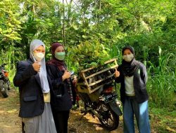 Tanam 100 Pohon, KKM-DR UIN Malang Bantu Tingkatkan Potensi Wisata di Dusun Ngliyep