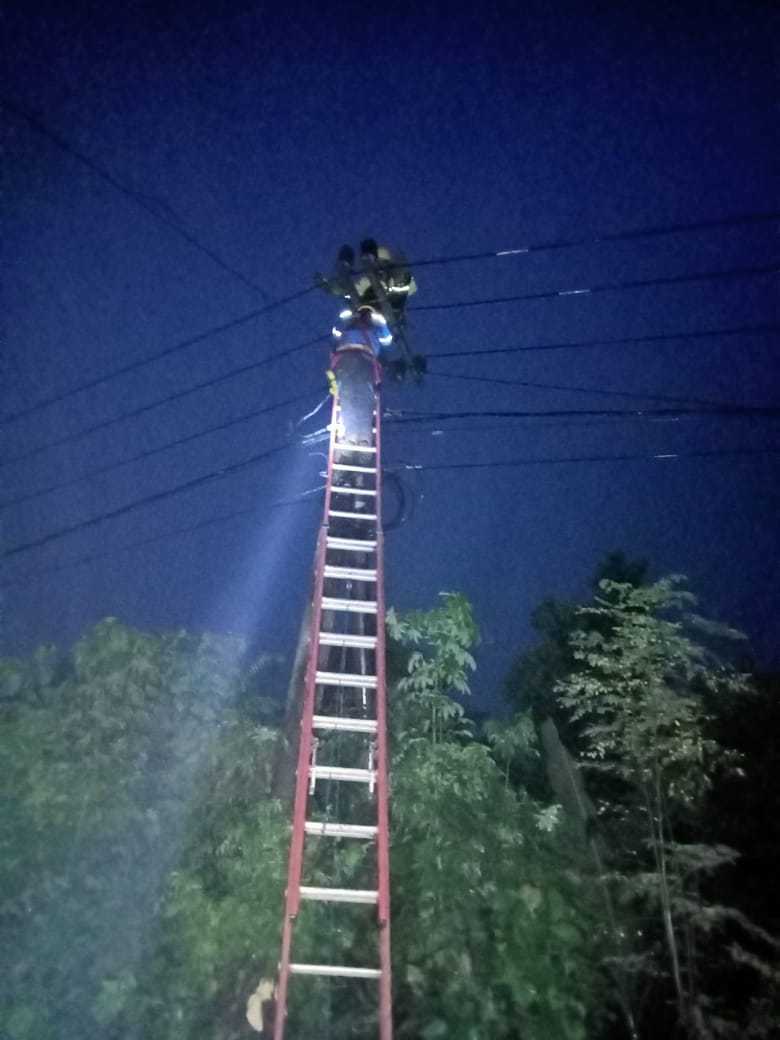 Kabel PLN. (Foto: Kasatpol PP dan Pemadam Kebakaran Tuban/Tugu Jatim)