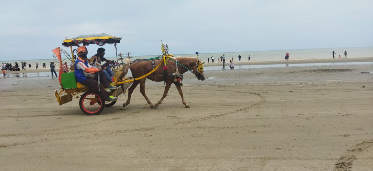 Selain ATV, pengunjung juga memilih cara menikmati suasana pantai dengan menaiki delman.